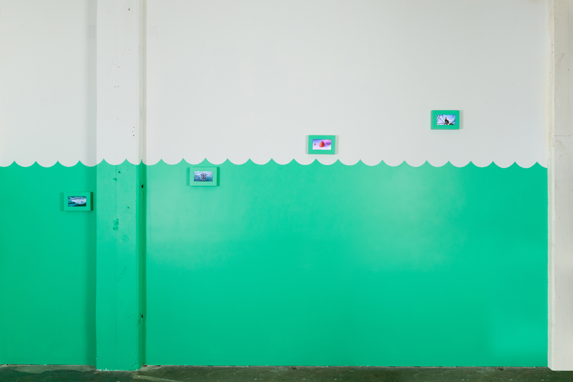 video installation